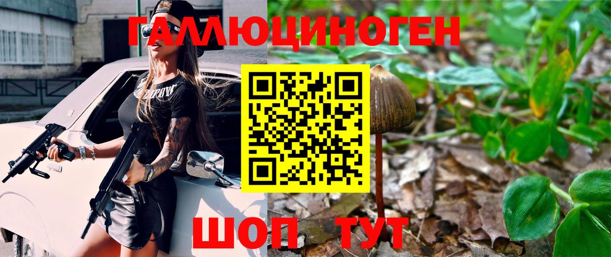 купить  цена  Псилоцибиновые грибы мухоморы  Вход с VPN  Ишимбай  Псилоцибиновые грибы Magic Shrooms 